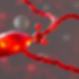 Visual representation of ketone bodies in the bloodstream