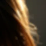 A close-up of shiny hair illuminated by natural light