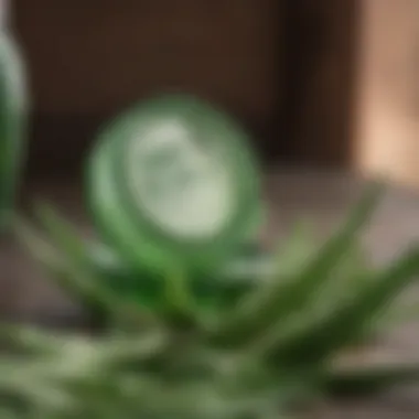 Extraction Process of Aloe Vera Gel Aloe Vera Gel Extraction Process