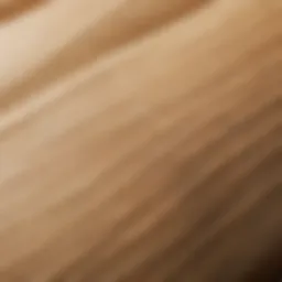 Close-up view of Babo unbleached bamboo tissue highlighting its texture