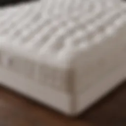 Illustration showcasing different types of mattresses for back pain