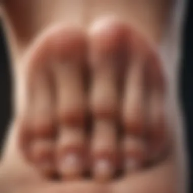Mapping the Big Toe's Influence on Internal Organs Big Toe Organ Connection Diagram