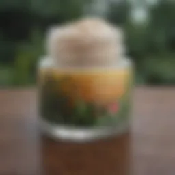 Botanical ingredients in tattoo balm
