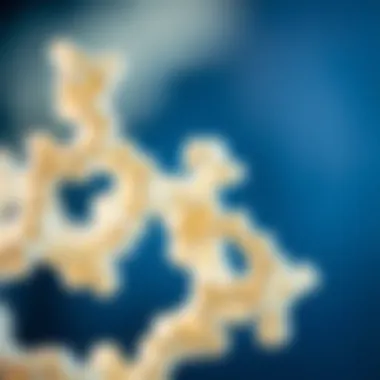 Exploring the Structure of Bovine Collagen Bovine collagen structure