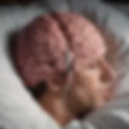 Illustration depicting brain activity during REM sleep