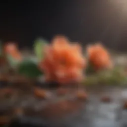 Brightening Floral Extracts
