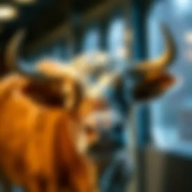 Health Benefits of Marine and Bovine Collagen Health benefits of collagen