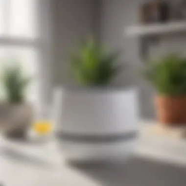 Compact Allergy-Focused Air Purifier for Small Spaces