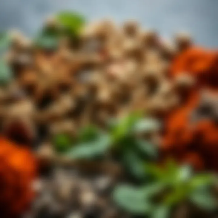 Spices and Herbs Selection A variety of spices and herbs for enhancing pickle flavors