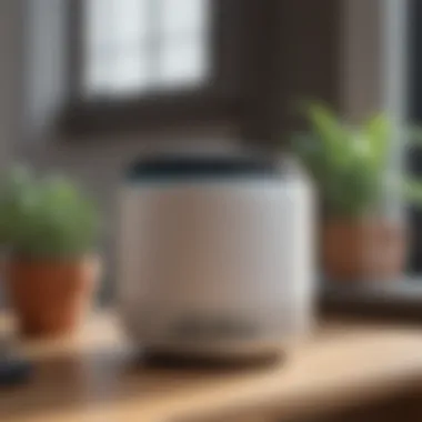 Eco-Friendly Air Purifier with Advanced Filtration