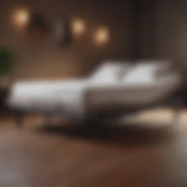 Holistic Health Benefits Enhancing Well-Being with Adjustable Bed Frame