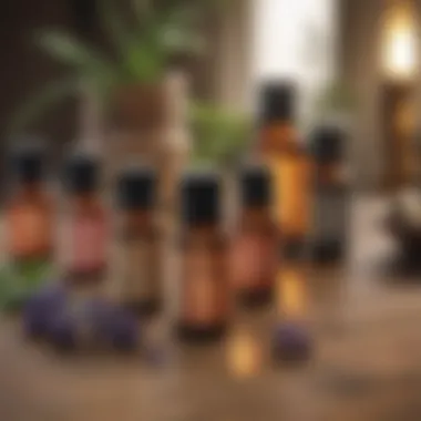 Choosing the Right Essential Oils for Itching Relief A selection of essential oil bottles labeled with their benefits on a wooden table