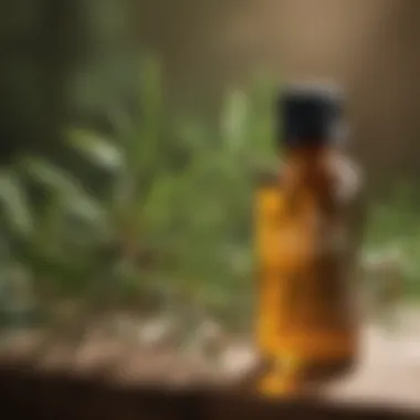 Tea Tree Oil: Nature's Antiseptic for Itching Relief Tea tree essential oil with fresh tea tree leaves in the background