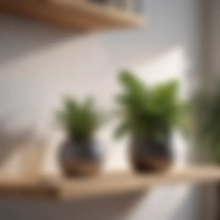 Air-purifying plant arrangement on a wooden shelf against a white wall