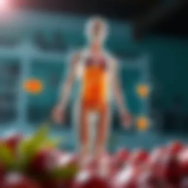 Biotin's Role in Bodily Functions A visual representation of the bodily functions supported by biotin vitamins.