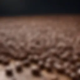 Artistic portrayal of coffee beans in a symphony of flavors
