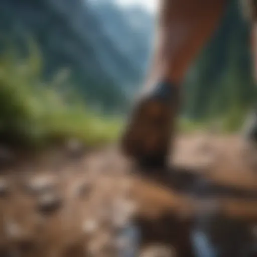 Connecting with Nature's Beauty