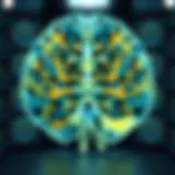 Overview of brain scan results