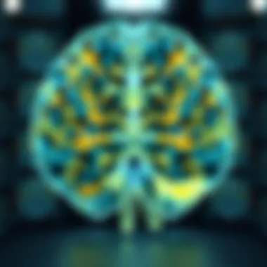 Overview of brain scan results