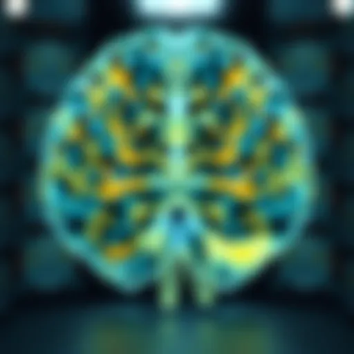 Overview of brain scan results