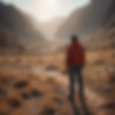 Echoes of Emptiness Person looking out into a vast empty landscape