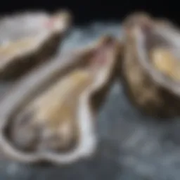 A detailed close-up of oysters on ice, showcasing their glistening shells.