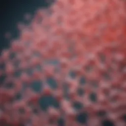 Illustration of collagen structure at a molecular level