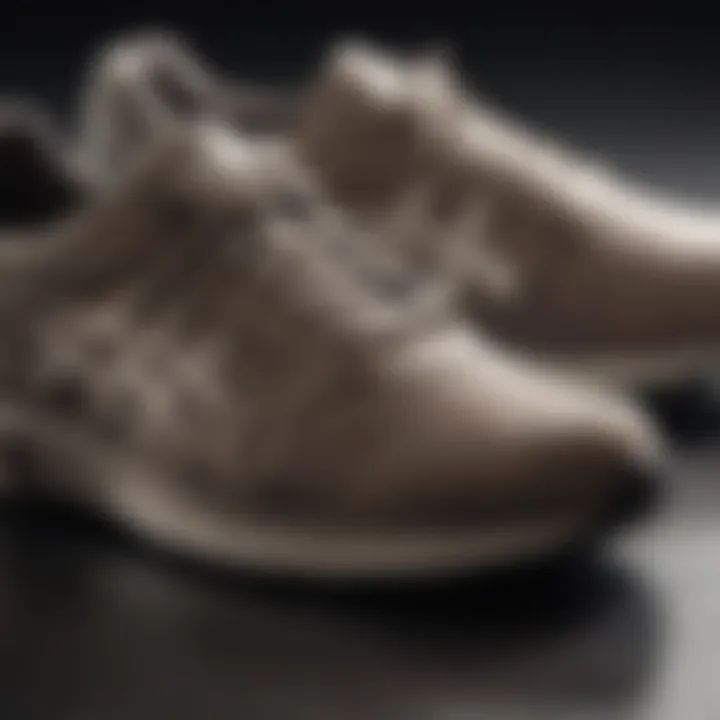 Comparison of different ASIC neutral shoe models highlighting features