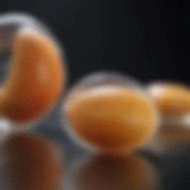 Condom Material Composition Analysis Condom Material Composition Analysis