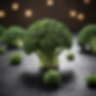 Broccoli Florets Packed with Soluble Fiber Goodness Fresh Broccoli Florets