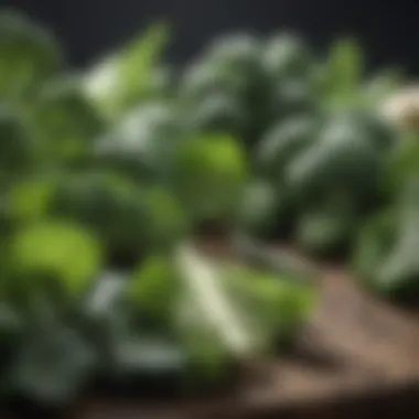 Nutrient-Rich Green Vegetables Fresh green vegetables for liver detox