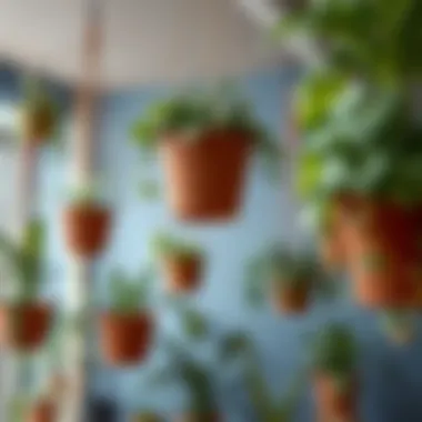 Variety of Materials Used in Hanging Planters Different materials for hanging planters