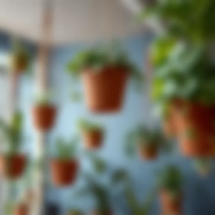 Variety of Materials Used in Hanging Planters Different materials for hanging planters