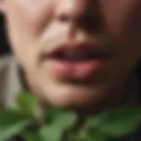 Natural herbal remedies for canker sore relief