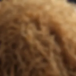 Close-up of spongy hair texture showing dryness and frizz