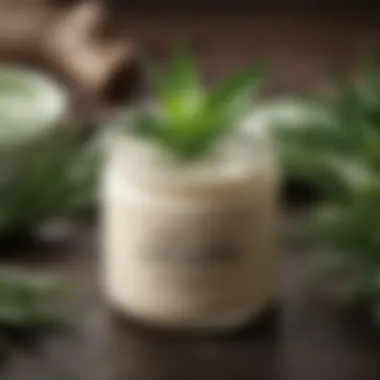 A smooth, creamy texture of the finished aloe vera cream in a glass jar, reflecting its nourishing qualities