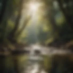 A serene natural landscape with a clear stream reflecting sunlight, symbolizing hydration.