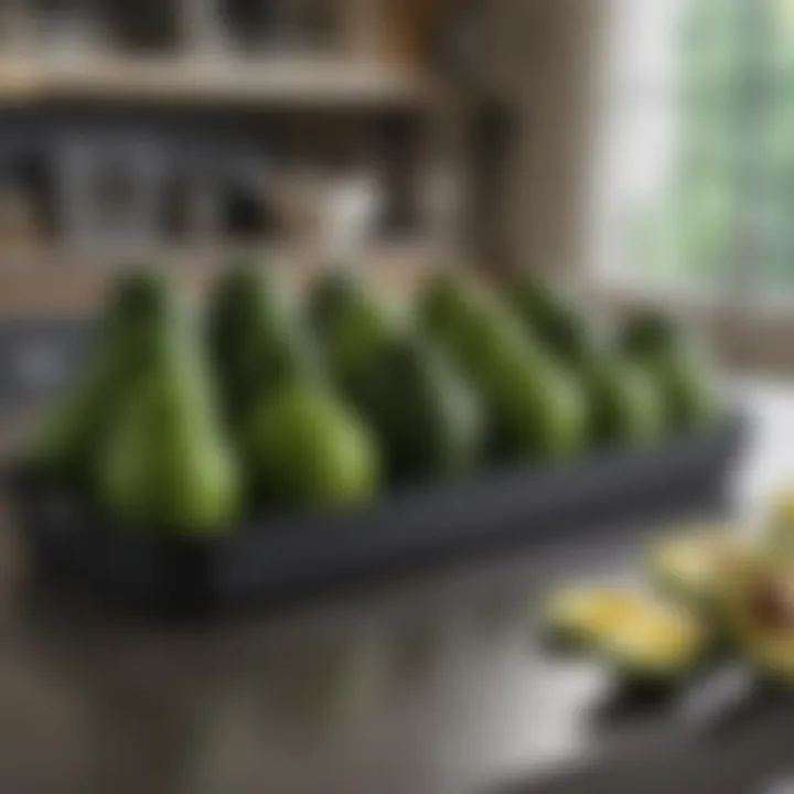 A variety of storage containers for avocados lined up on a kitchen counter