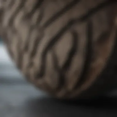 A close-up view of different shoe soles showcasing various tread patterns.