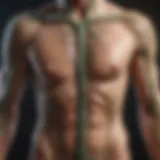 Illustrious Guide to the Lymphatic System