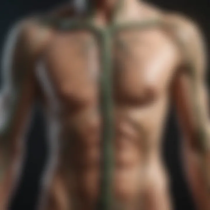 Illustrious Guide to the Lymphatic System