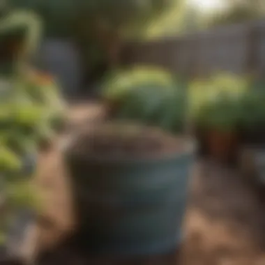 Compact Composting Solution in Your Garden An aesthetically pleasing small compost bucket placed in a garden setting.