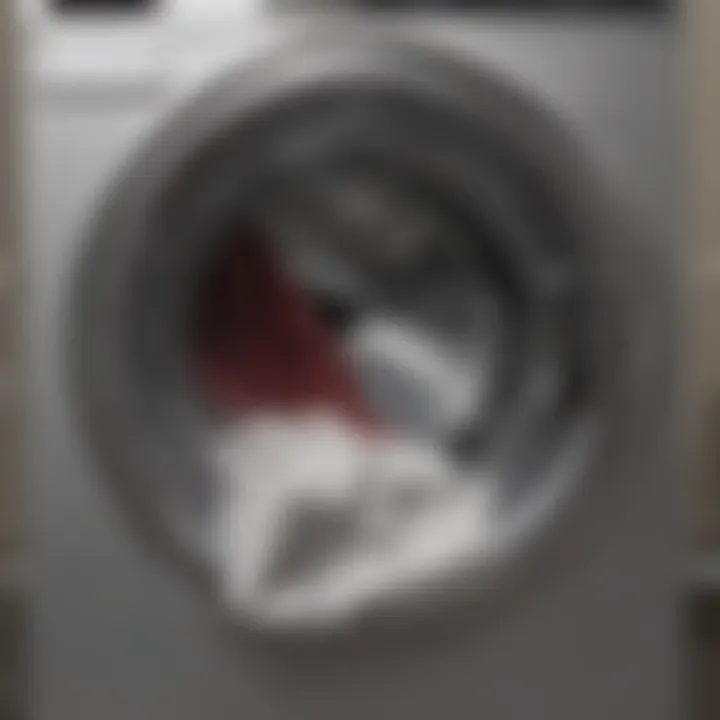 Lint trap full of debris from washing machine drum