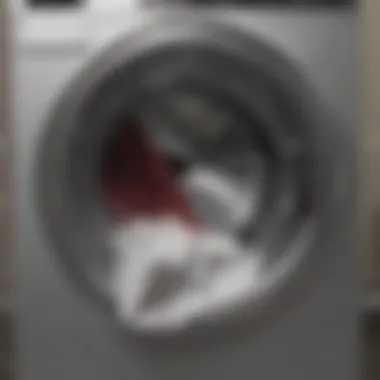 Importance of Clearing Lint Trap in Washing Machine Lint trap full of debris from washing machine drum
