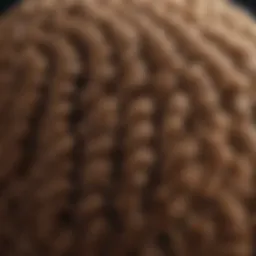Luxurious Crochet Hair Texture