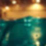 Comparison of marine collagen sources