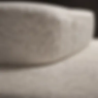 Memory Foam Mattress for Spine Alignment