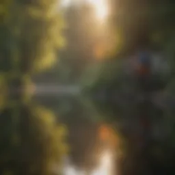 A serene landscape symbolizing personal reflection during midlife.