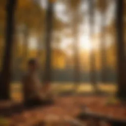 Golden hour sun shining through trees onto a person practicing intermediate fasting