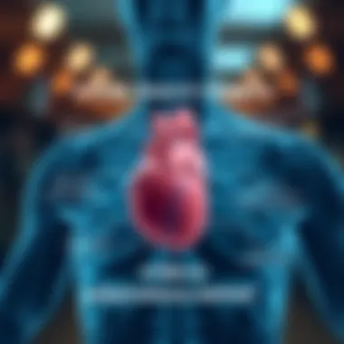 Vitamin K2 and Cardiovascular Support Graphic depicting the relationship between vitamin K2 and cardiovascular health